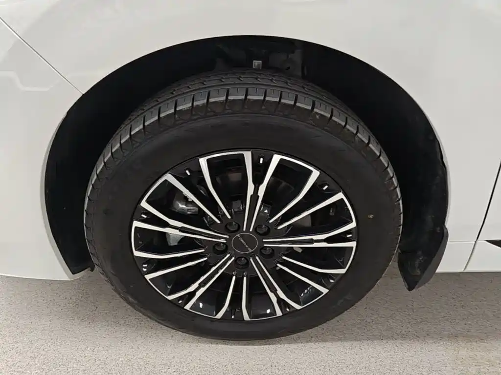 Fengxing Xinghai V9 — миниатюра 23