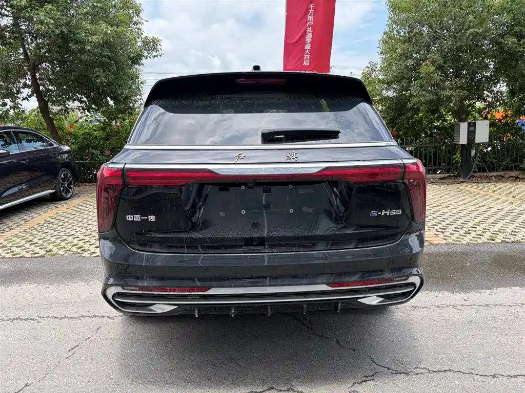 Hongqi E-HS9 2025 690km мест