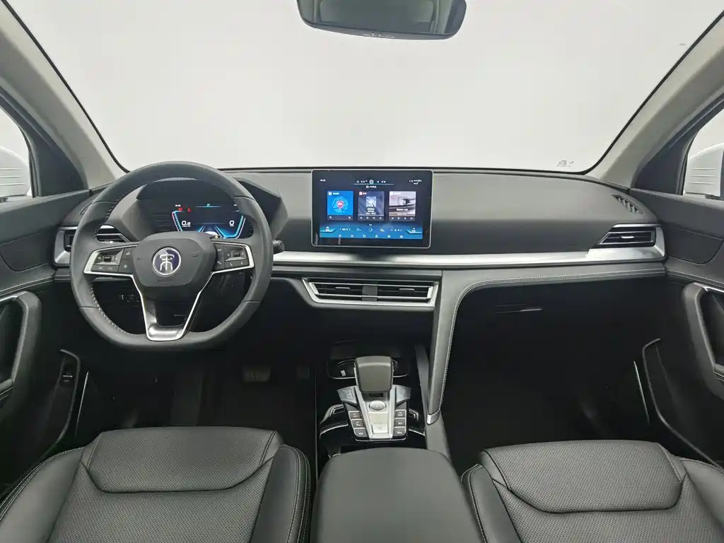 BYD Pro — миниатюра 5