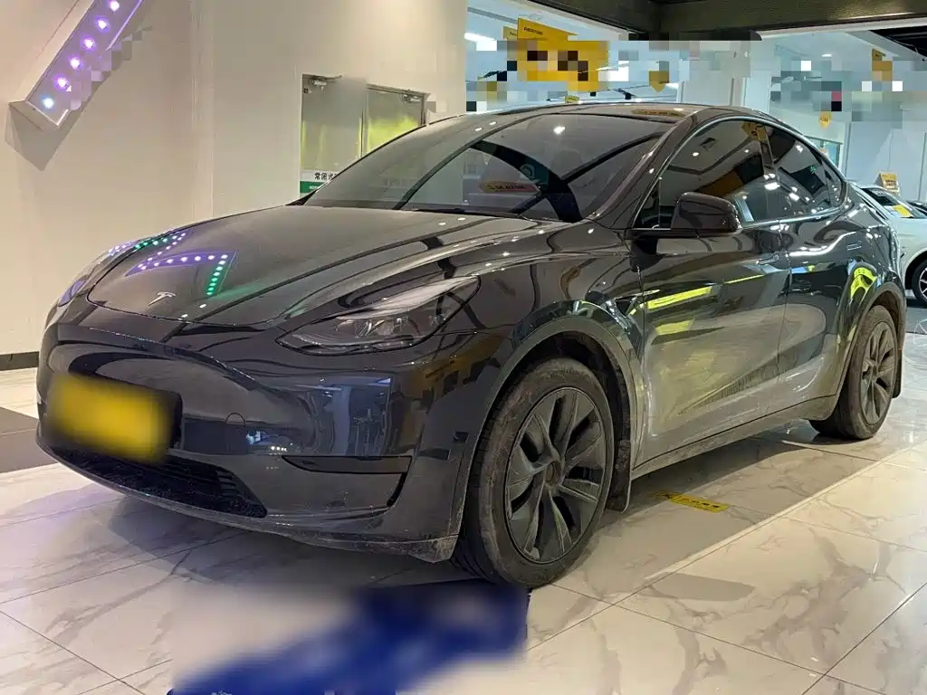 Tesla Model Y — миниатюра 2