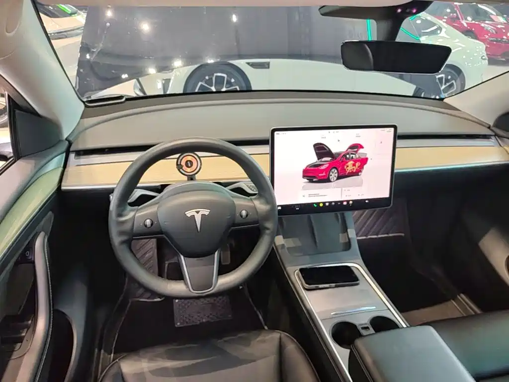 Tesla Model Y — миниатюра 10