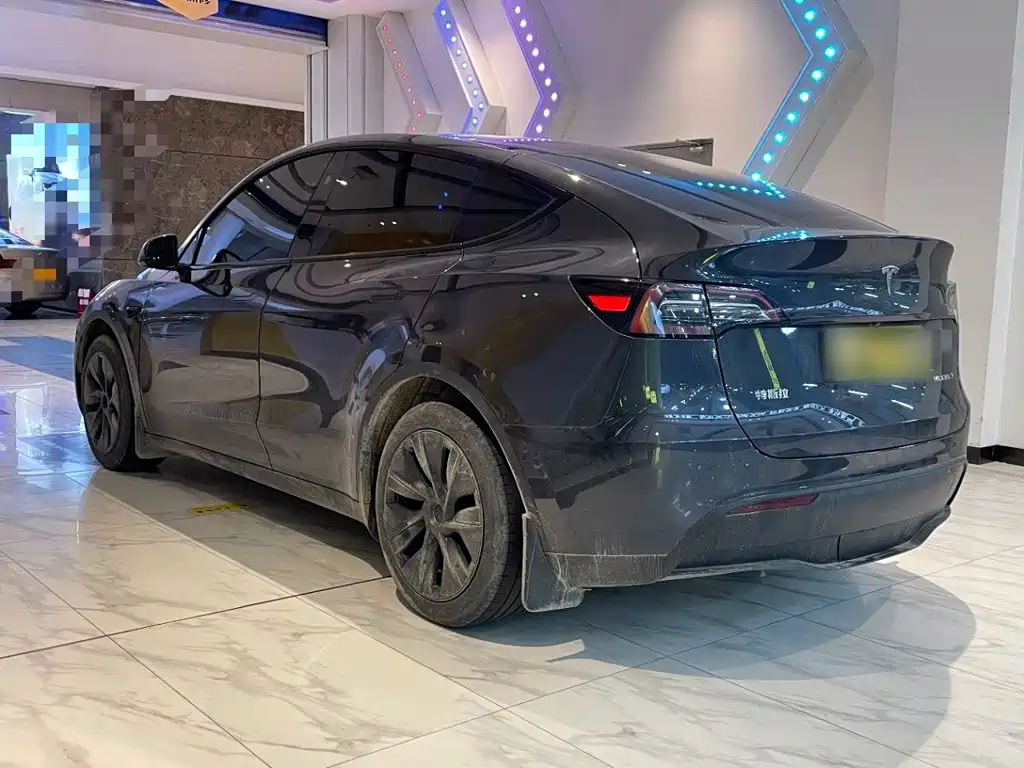 Tesla Model Y — миниатюра 5