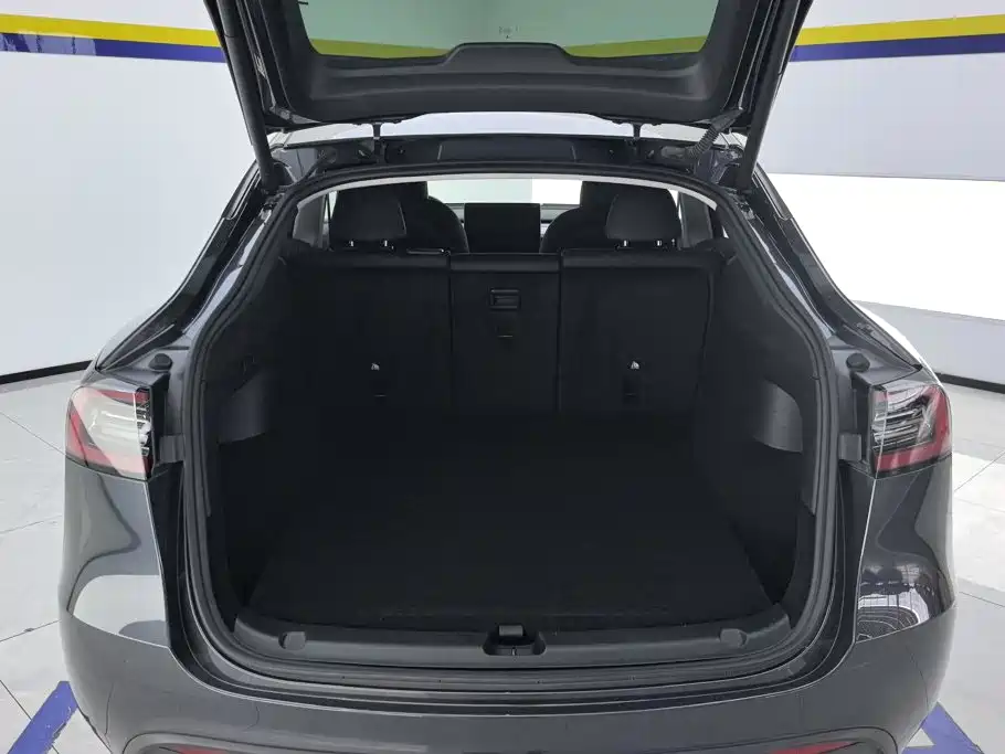Tesla Model Y — миниатюра 4