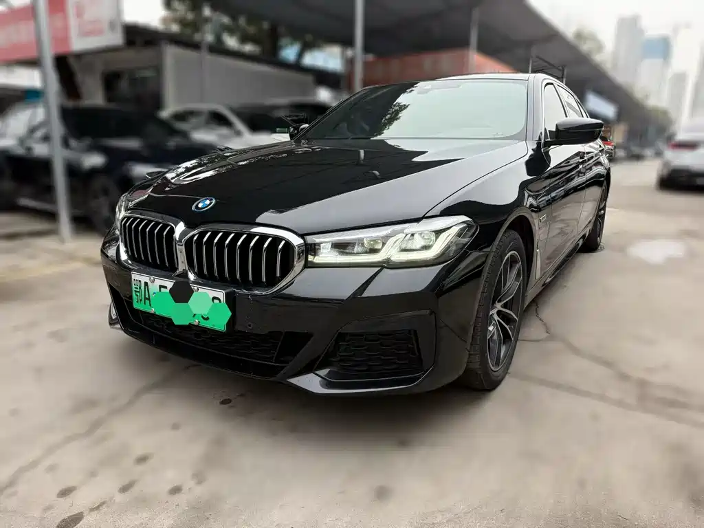 BMW 5 Series New Energy 2022