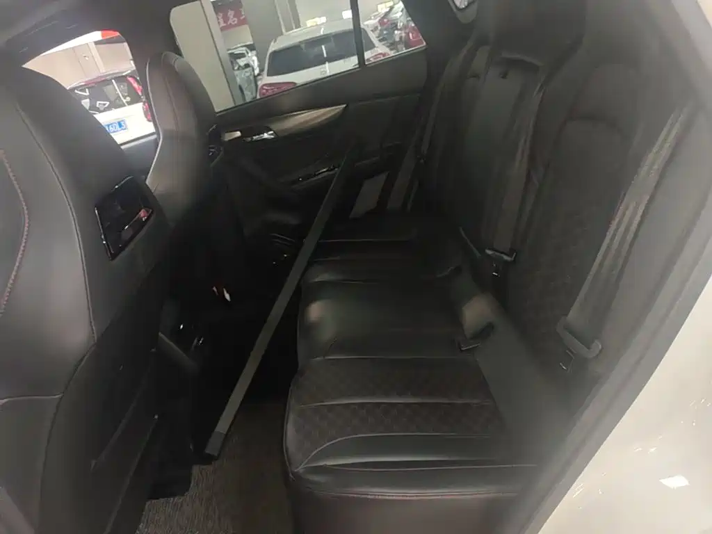 Haima Haima 8S — миниатюра 17
