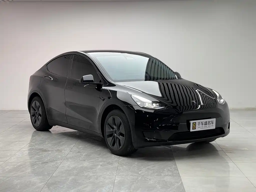 Tesla Model Y — миниатюра 3
