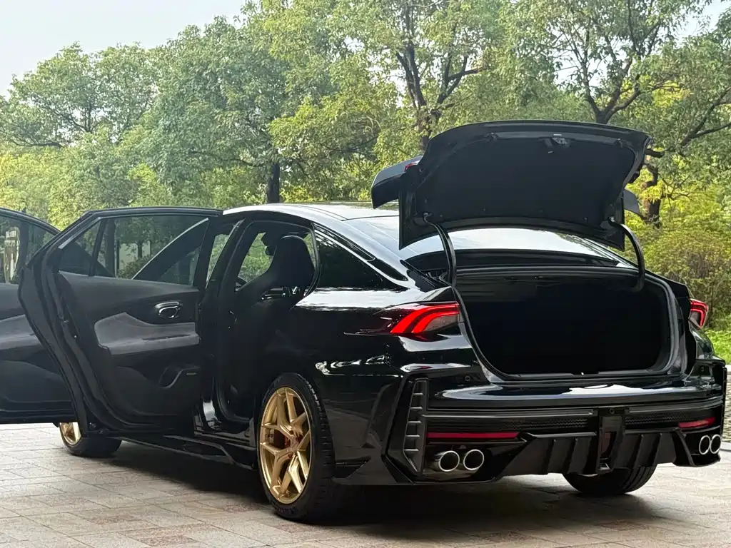 GAC Motor Shadow Leopard — миниатюра 21