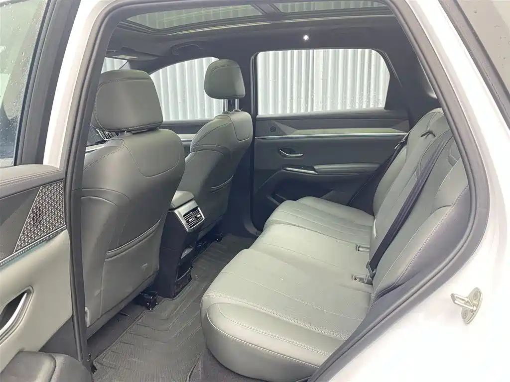 BYD SONGJIANG NEW ENERGY