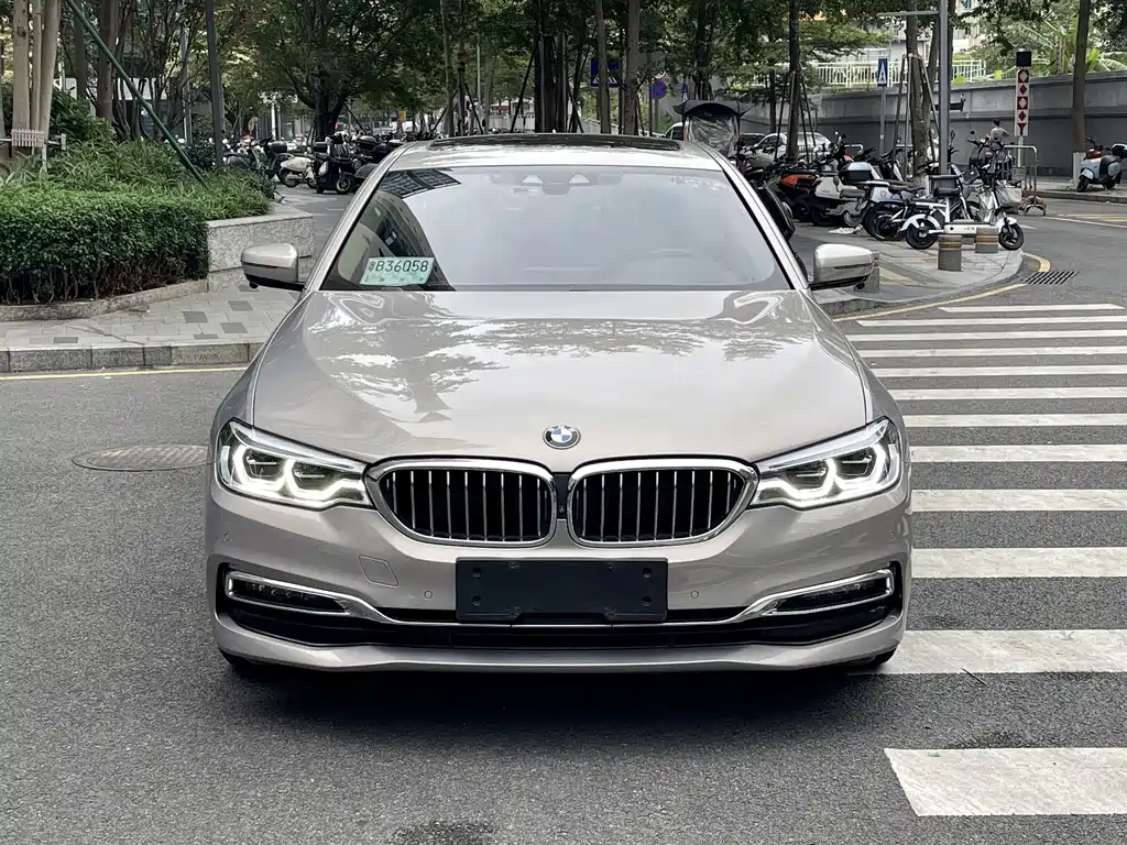 BMW 5 Series 5 2019 530Le Luxury
