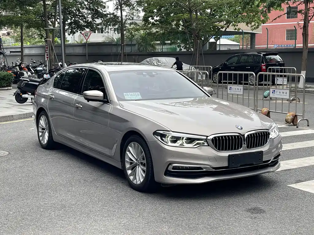 BMW 5 Series 5 2019 530Le Luxury