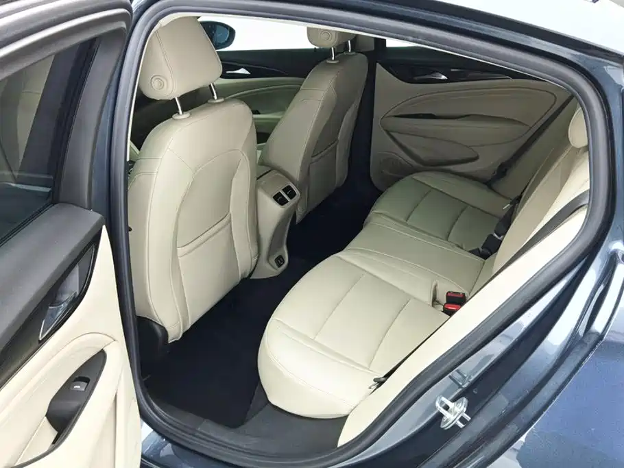 Buick Regal — миниатюра 11