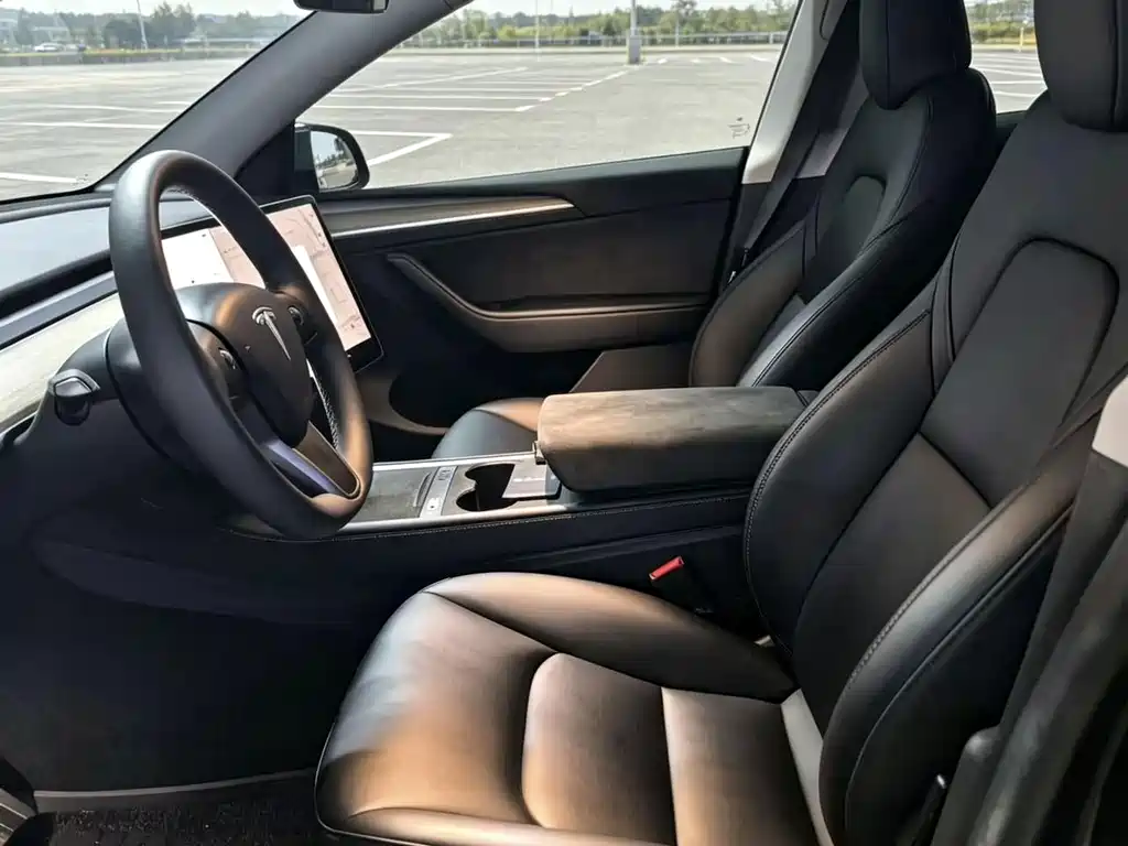 Tesla Model Y — миниатюра 8