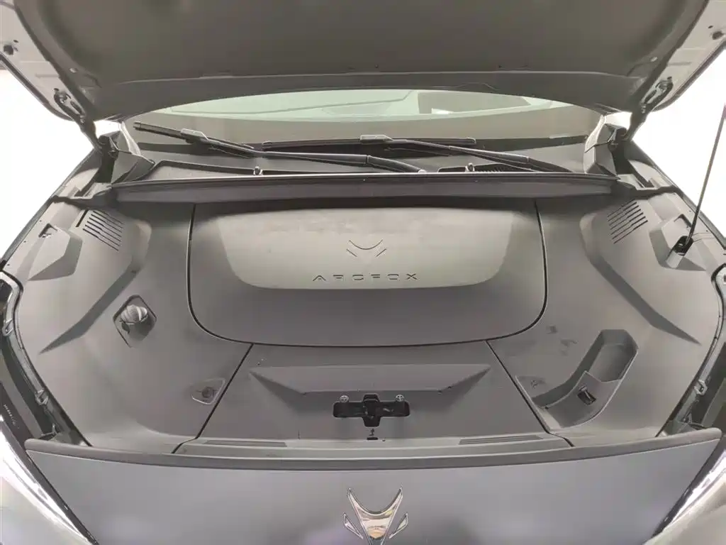 ARCFOX EXTREME FOX POLAR FOX ALPHA T5