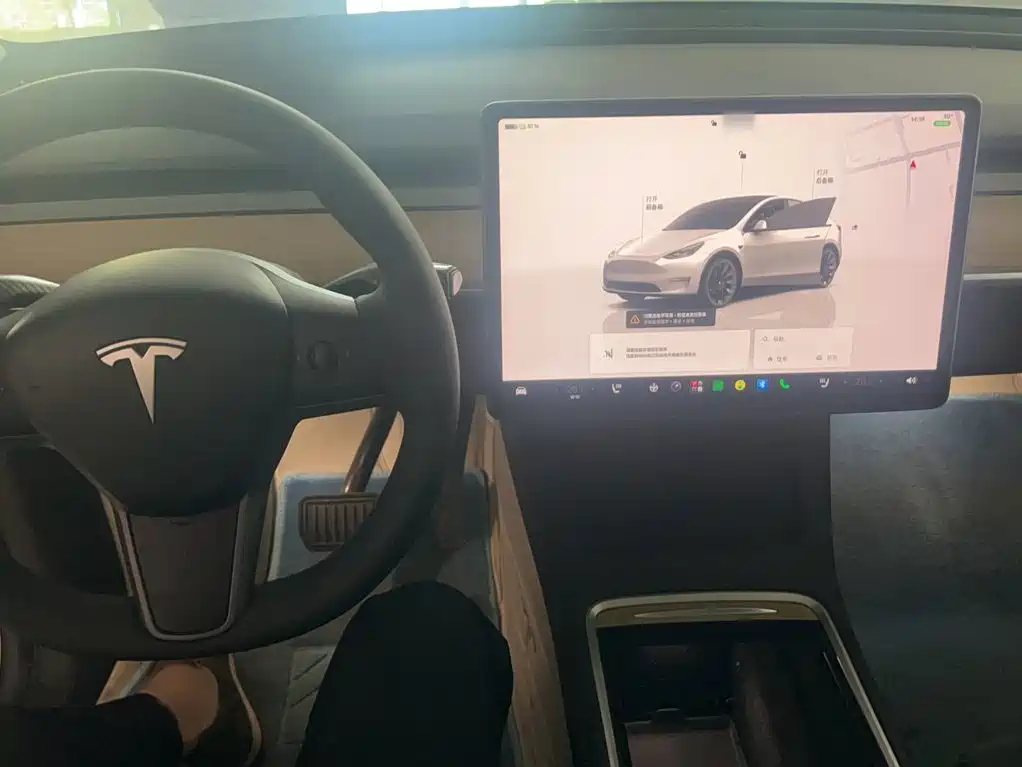 Tesla Model Y — миниатюра 10