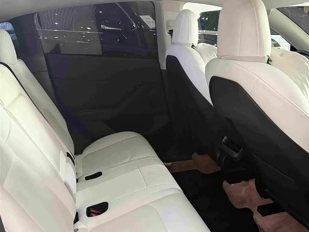 Tesla Model Y — миниатюра 10