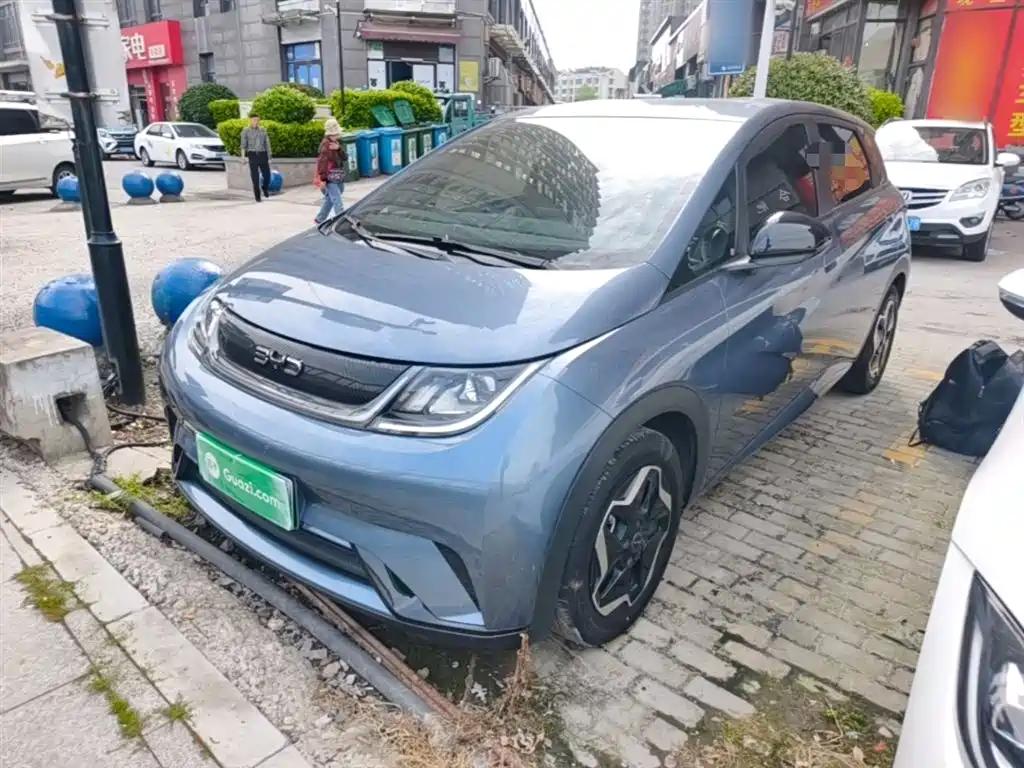 Byd Dolphin 2024