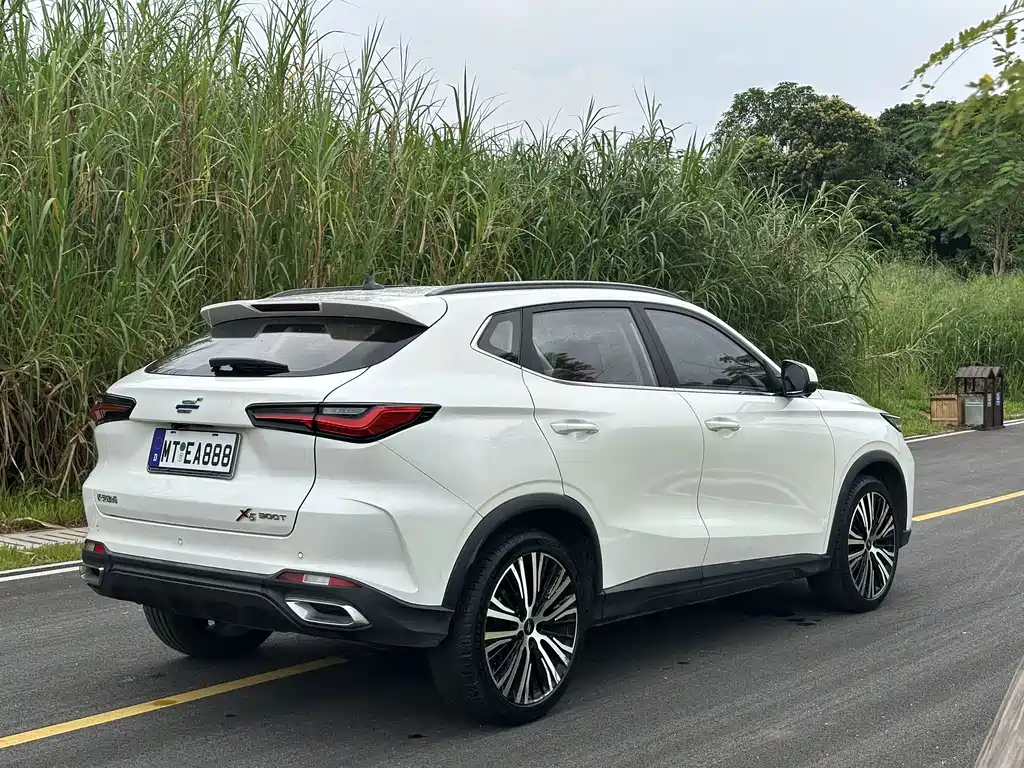 Oshan Oushang X5 — миниатюра 10