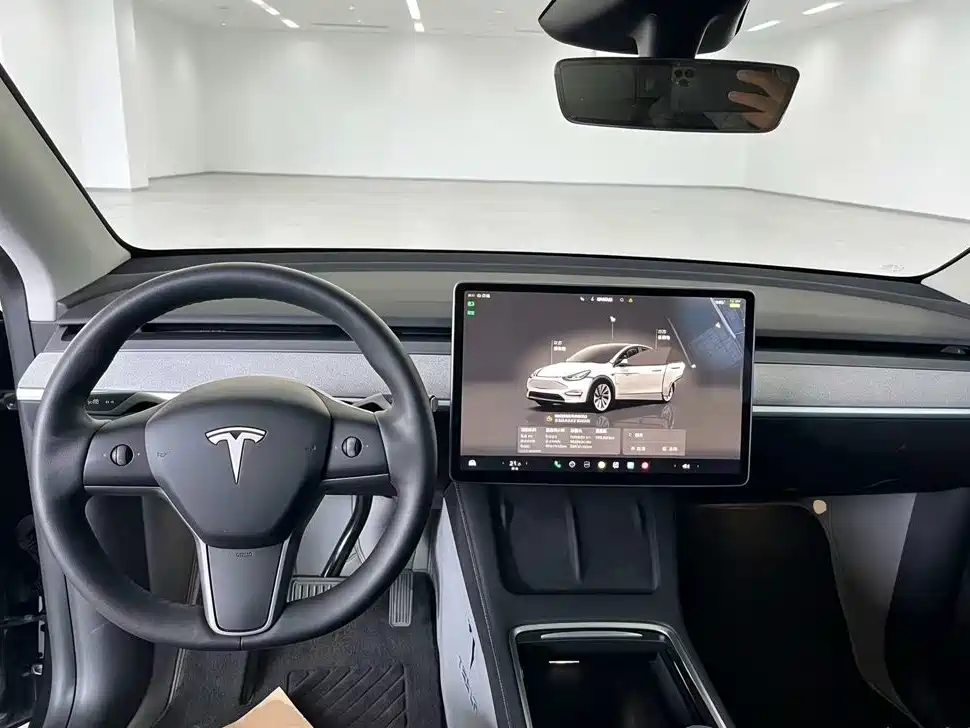 Tesla Model Y — миниатюра 10