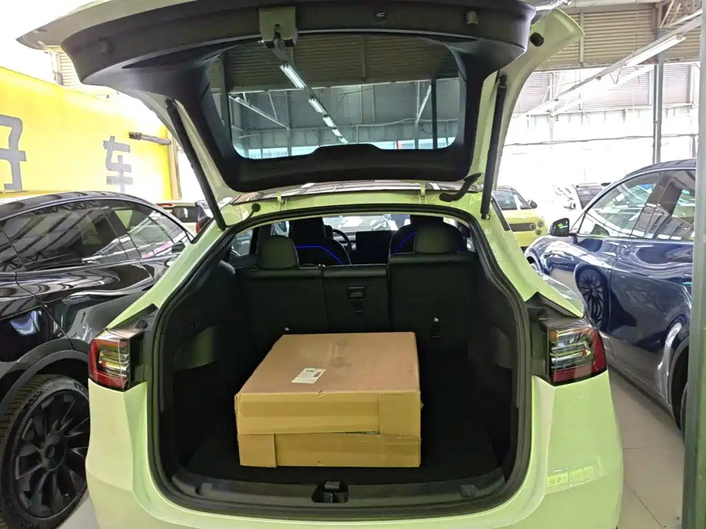 Tesla Model Y — миниатюра 19