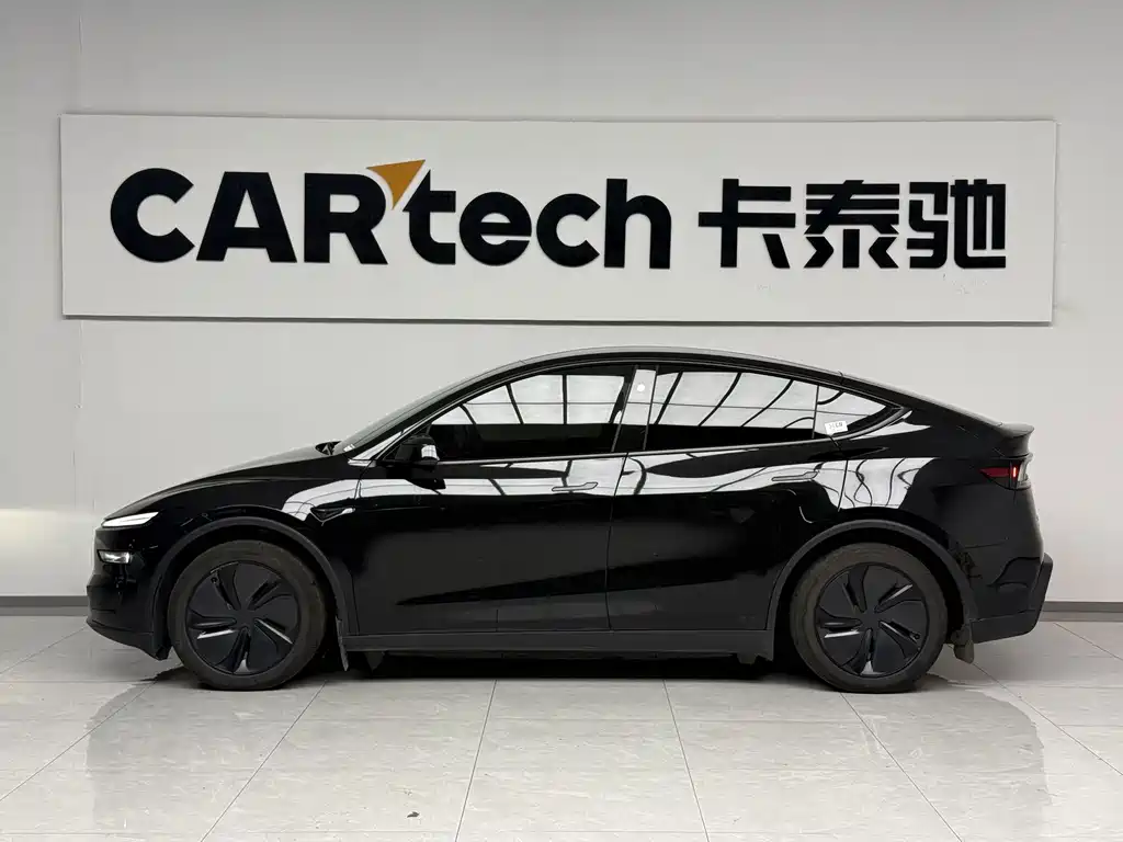 Tesla Model Y — миниатюра 4