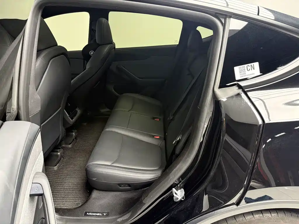 Tesla Model Y — миниатюра 8