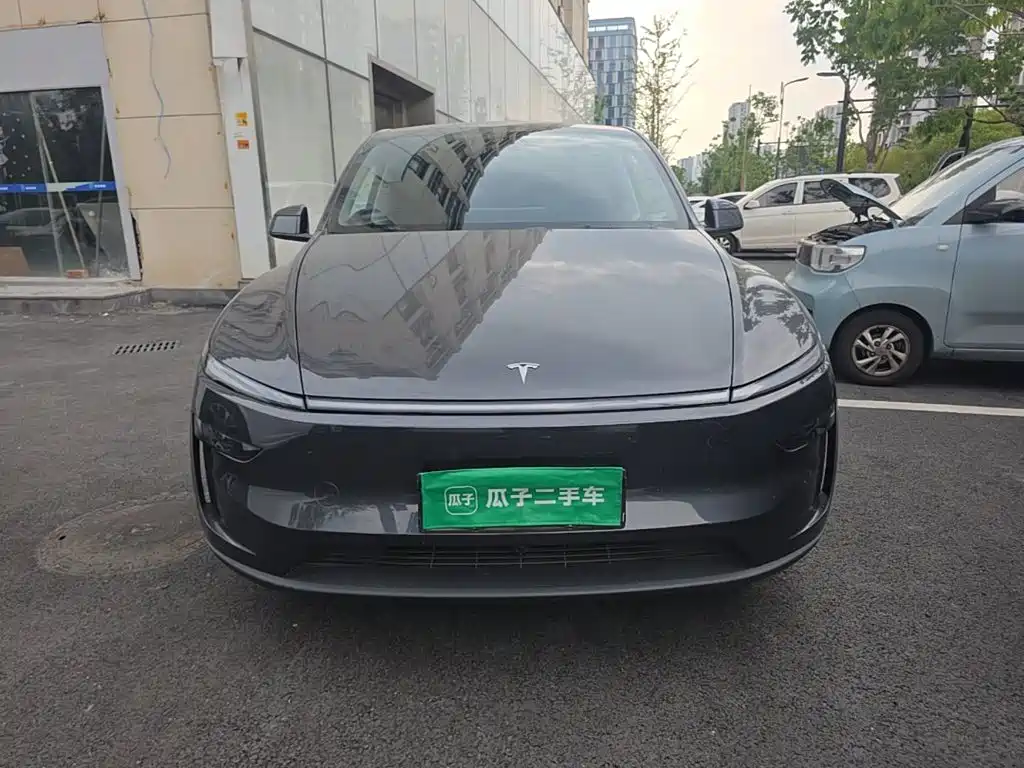 Tesla Model Y — миниатюра 3