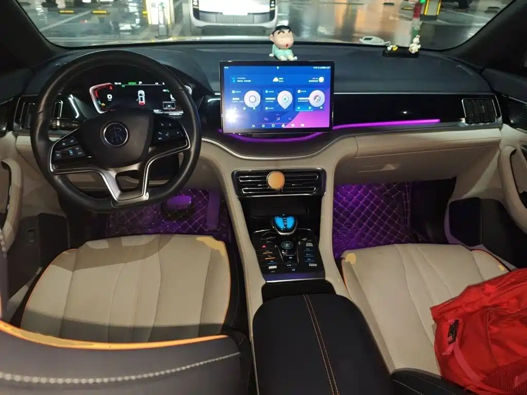 BYD PLUS New Energy — миниатюра 13