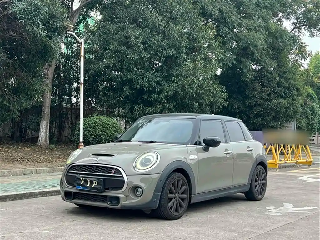 Mini Mini 2020