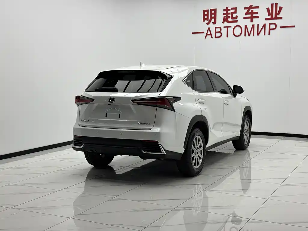 Lexus NX — миниатюра 9
