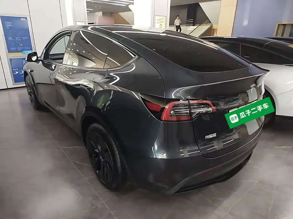 Tesla Model Y — миниатюра 5