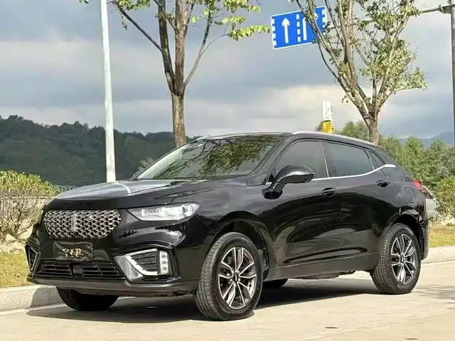 wei-pai wei-brand-vv5