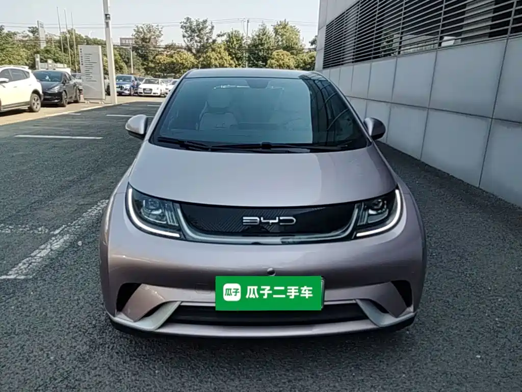BYD Dolphin — миниатюра 3