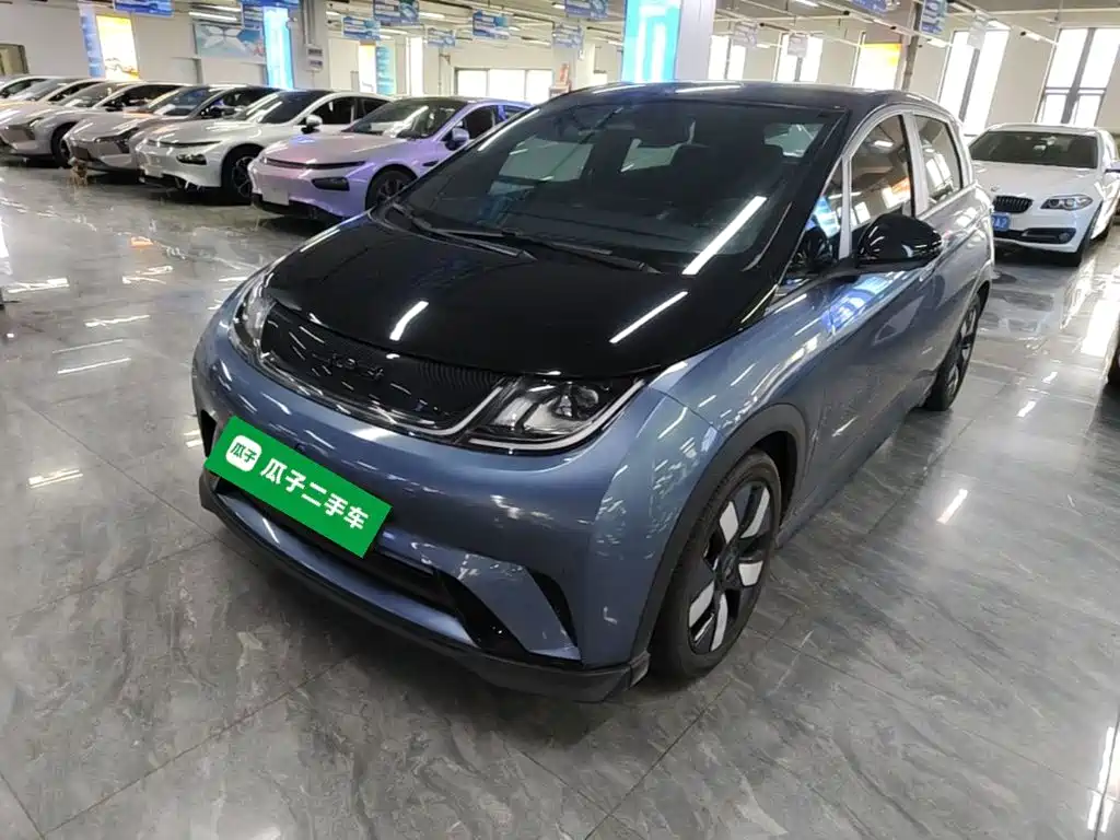 BYD Dolphin — миниатюра 2