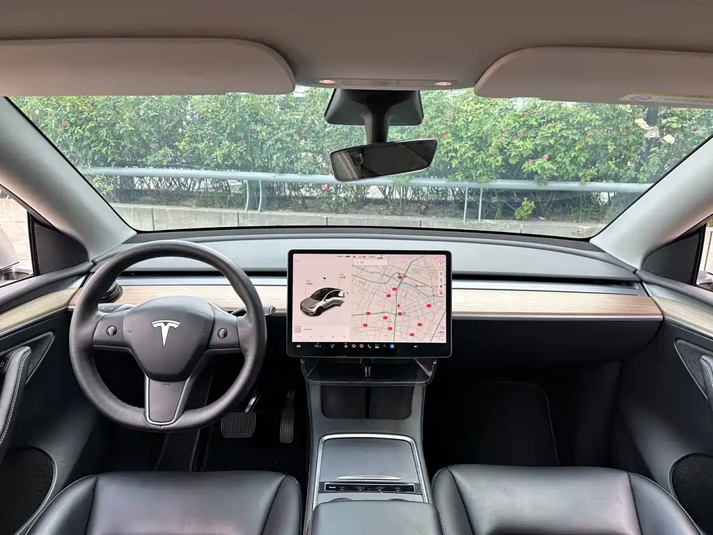 Tesla Model Y — миниатюра 14