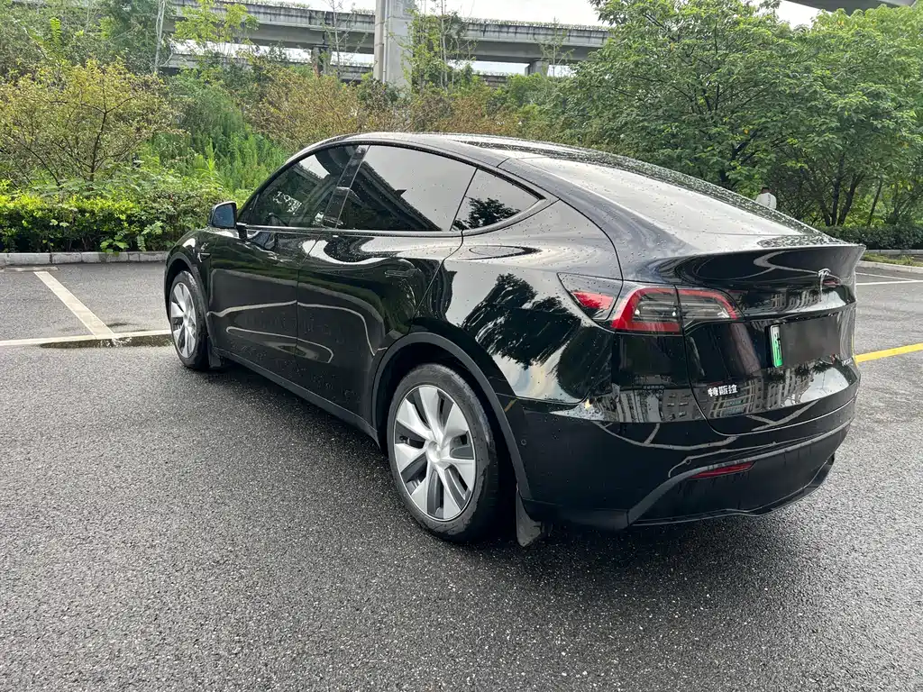 Tesla Model Y — миниатюра 7