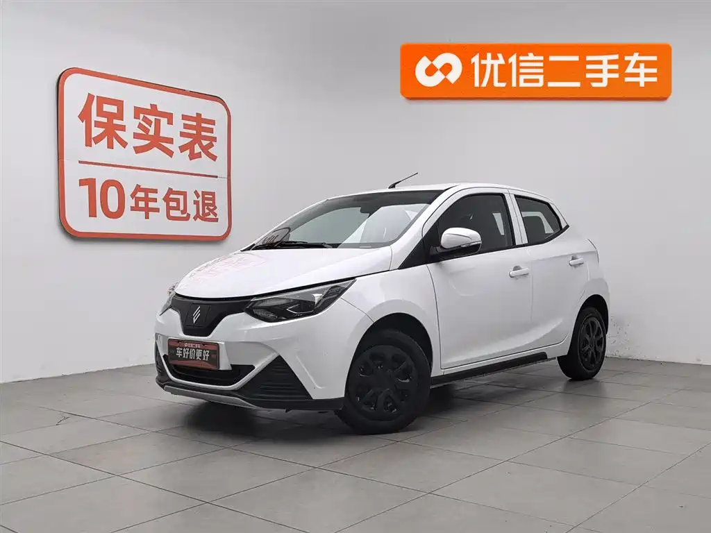 Jmev 易至EV2 2024