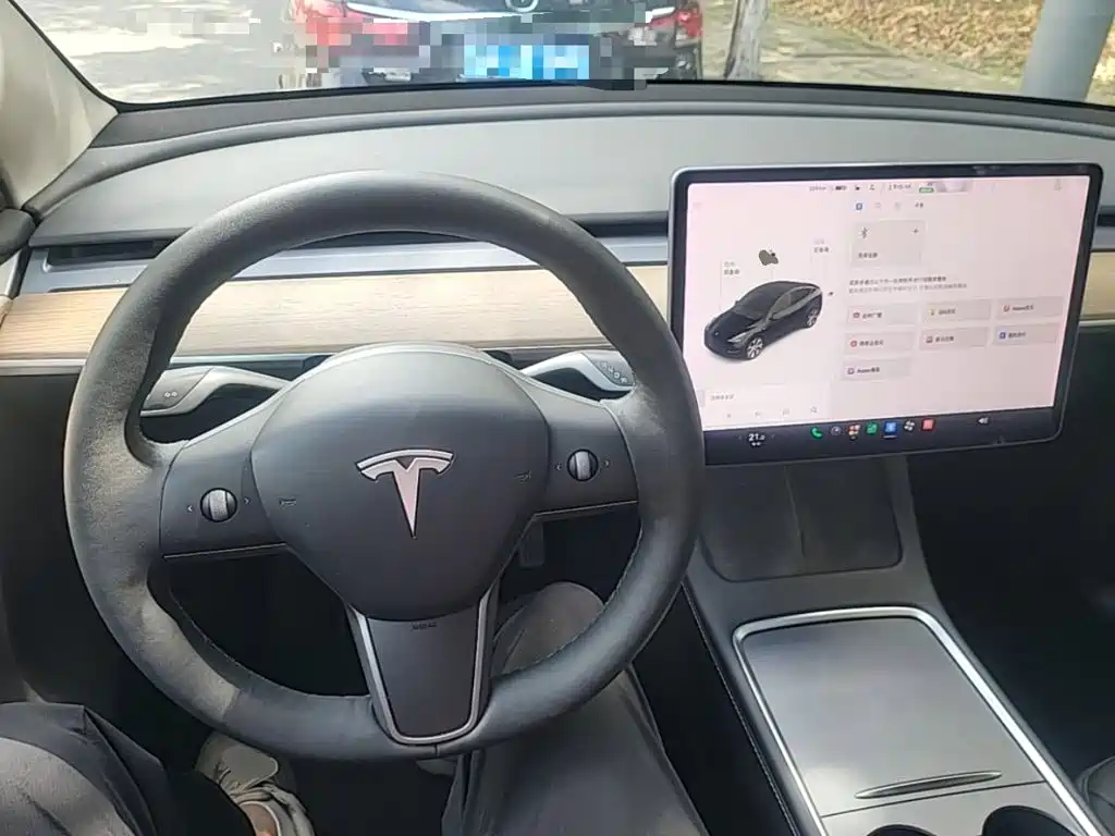 Tesla Model Y — миниатюра 11