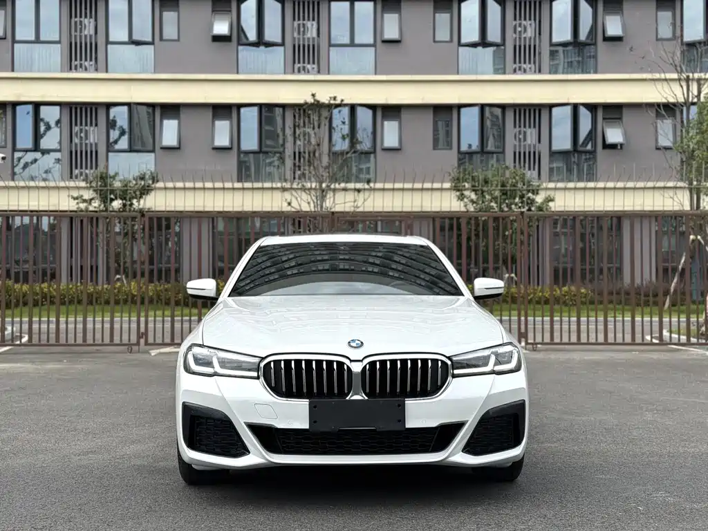 BMW 5 Series — миниатюра 2