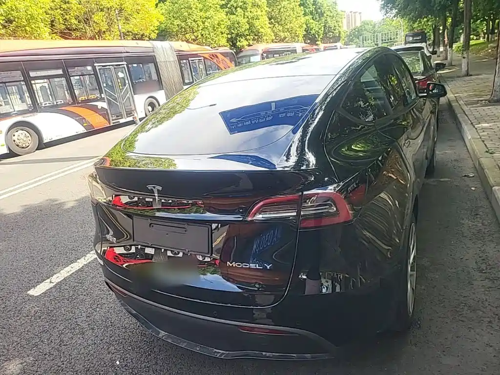 Tesla Model Y — миниатюра 6