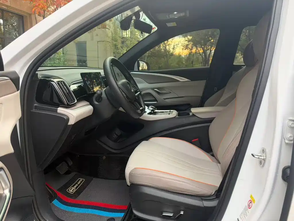 BYD Pro New Energy — миниатюра 4