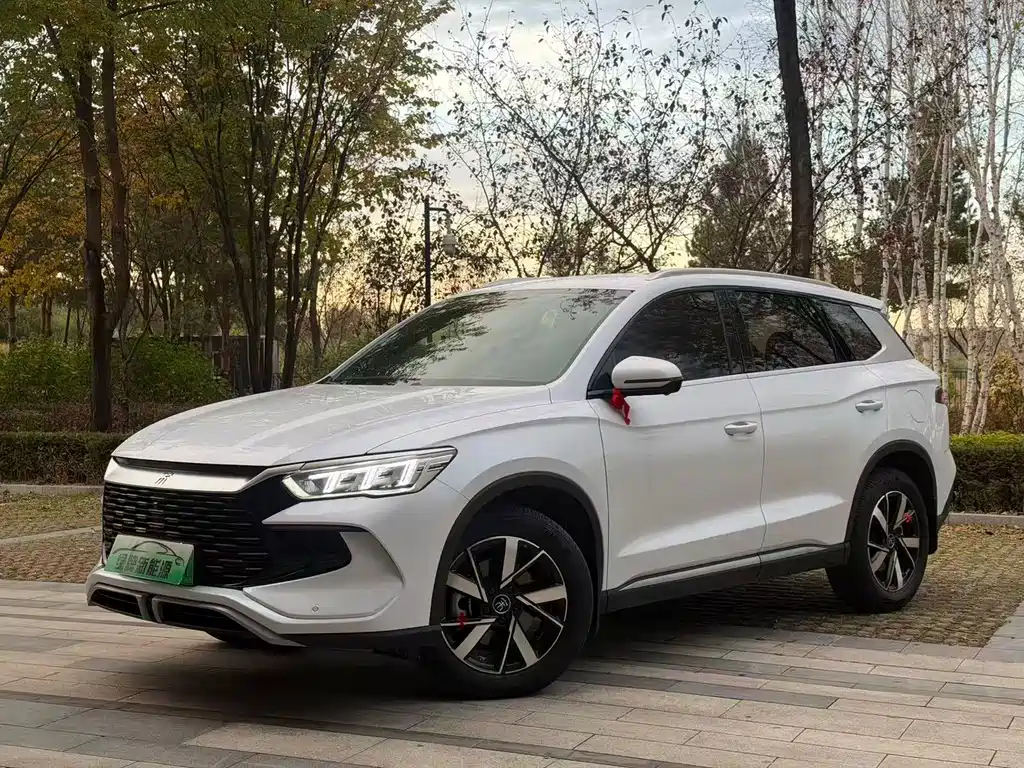 BYD Pro New Energy — миниатюра 3