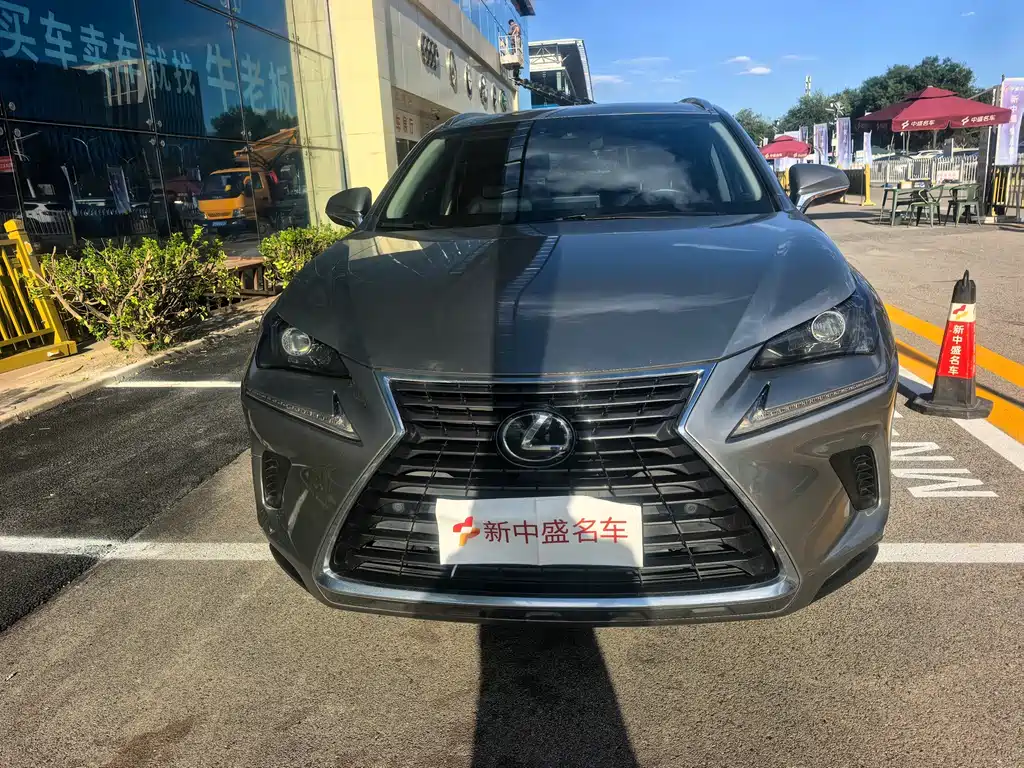 Lexus NX — миниатюра 2