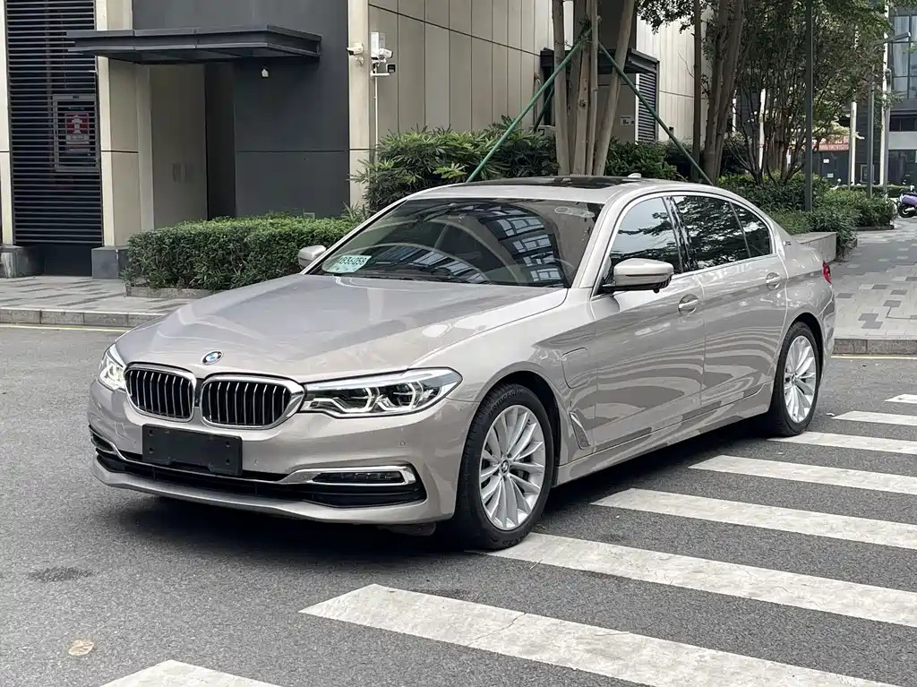 BMW 5 Series New Energy 2019