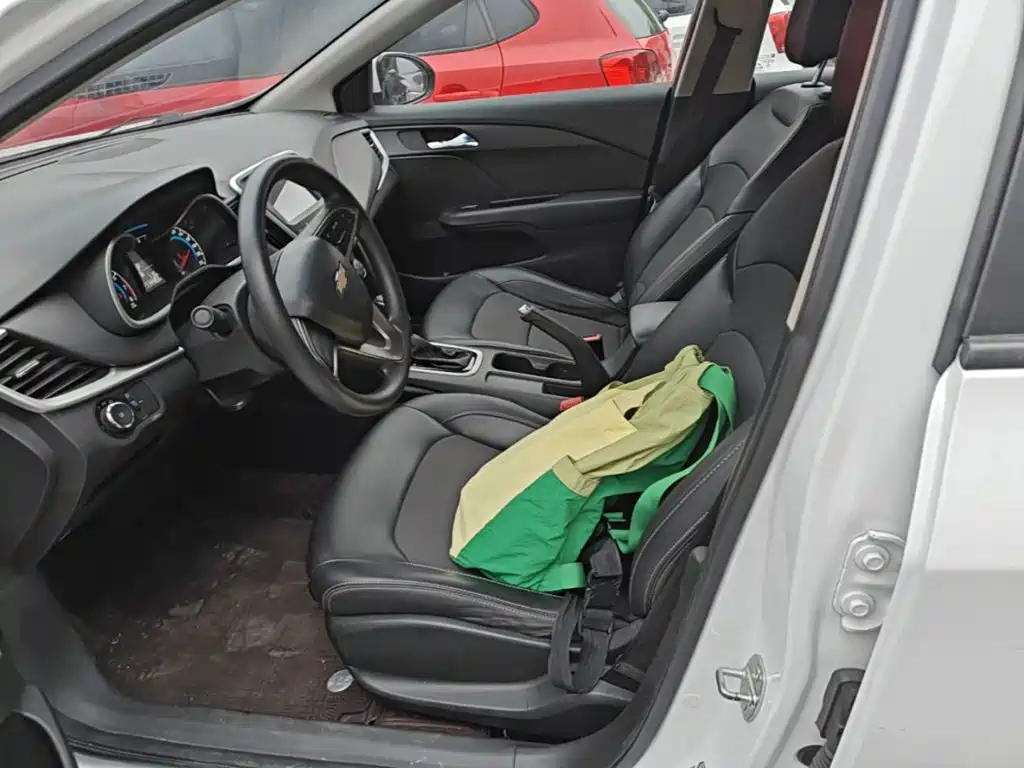 Chevrolet Cavalier — миниатюра 15