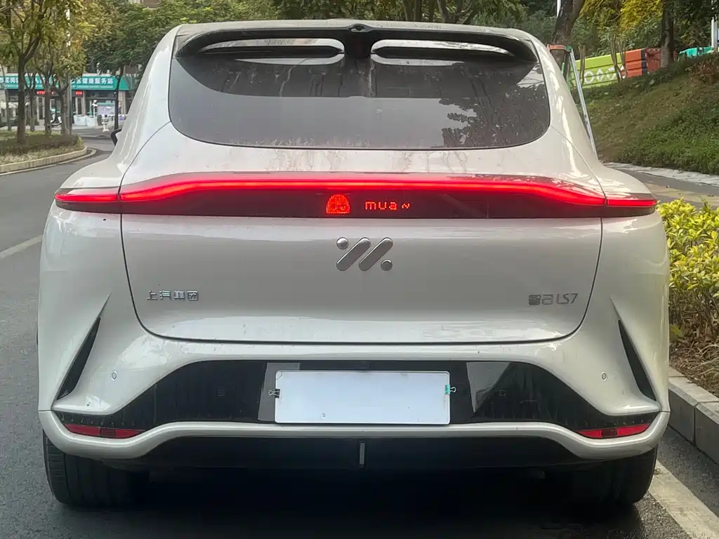 ZHIJI AUTOMOBILE ZHIJI LS7