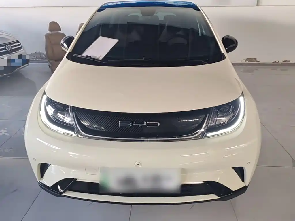 BYD Dolphin — миниатюра 3