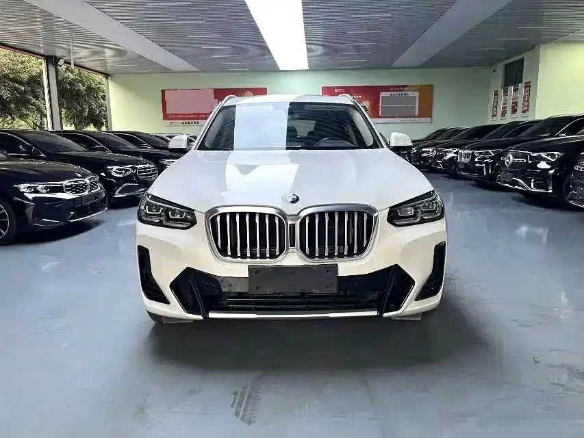 BMW X3 — миниатюра 2