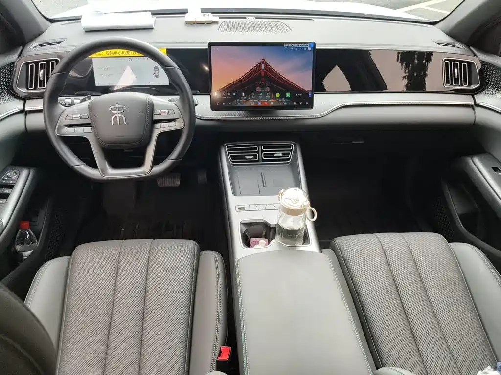 BYD Pro New Energy — миниатюра 13