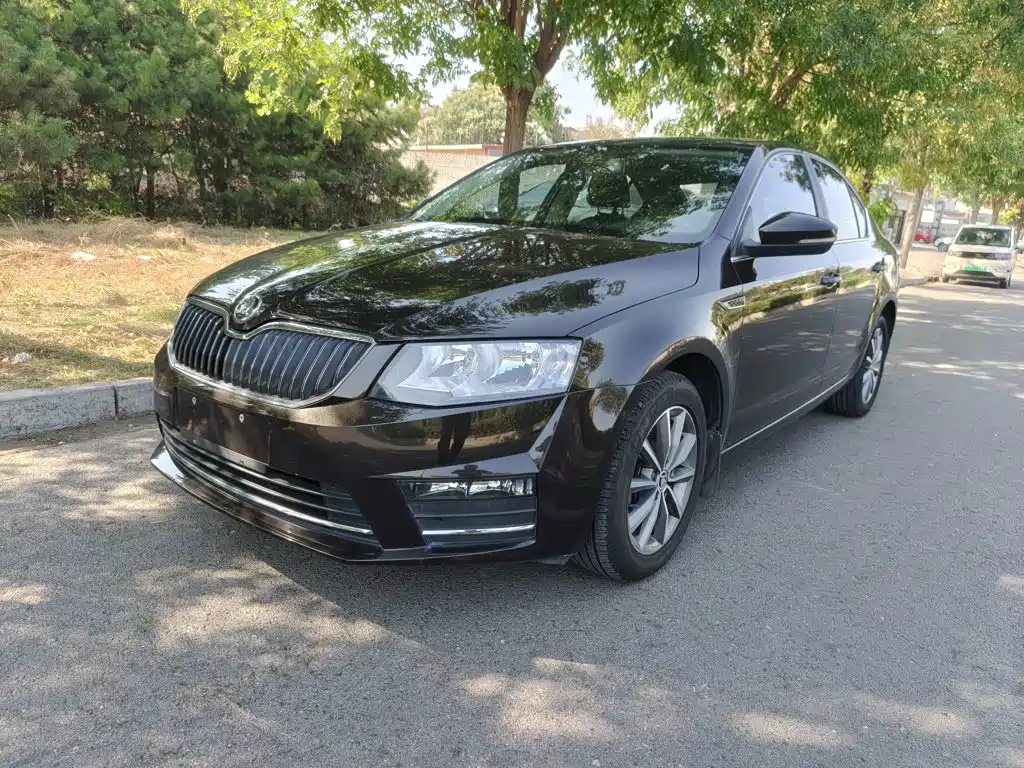 Skoda Octavia — миниатюра 24
