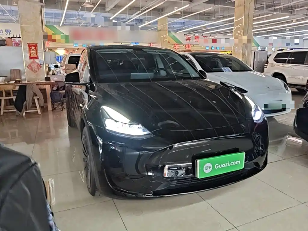 Tesla Model Y — миниатюра 4